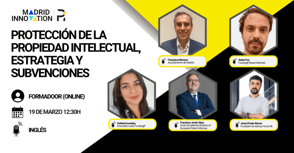 Protección de la Propiedad Intelectual, Estrategia y Subvenciones