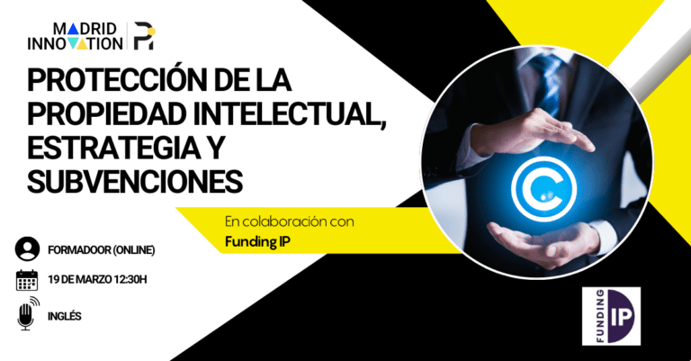 Protección de la Propiedad Intelectual, Estrategia y Subvenciones (3)